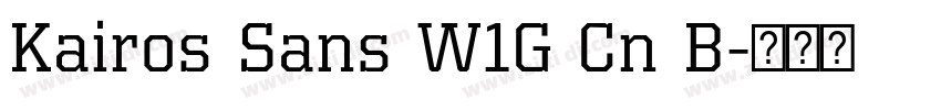 Kairos Sans W1G Cn B字体转换